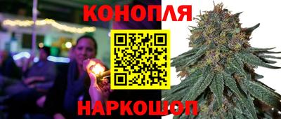 МДПВ Боровичи