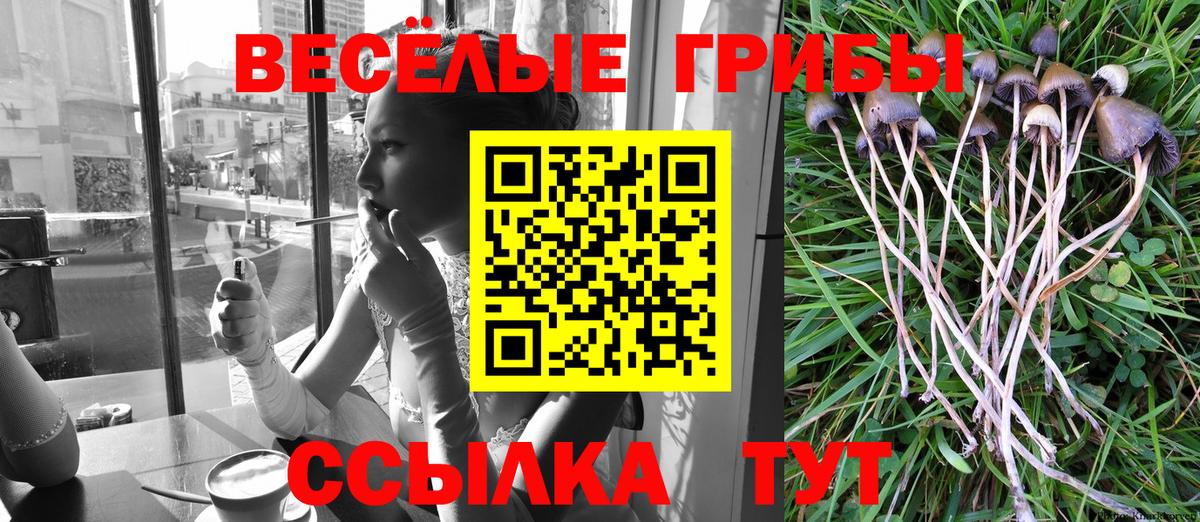 Вичуга  Псилоцибиновые грибы Magic Shrooms  Вход с VPN 